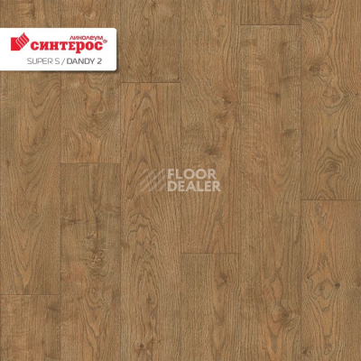 Линолеум Tarkett Супер С DANDY 2 фото 1 | FLOORDEALER